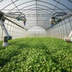 Agricultural Automation